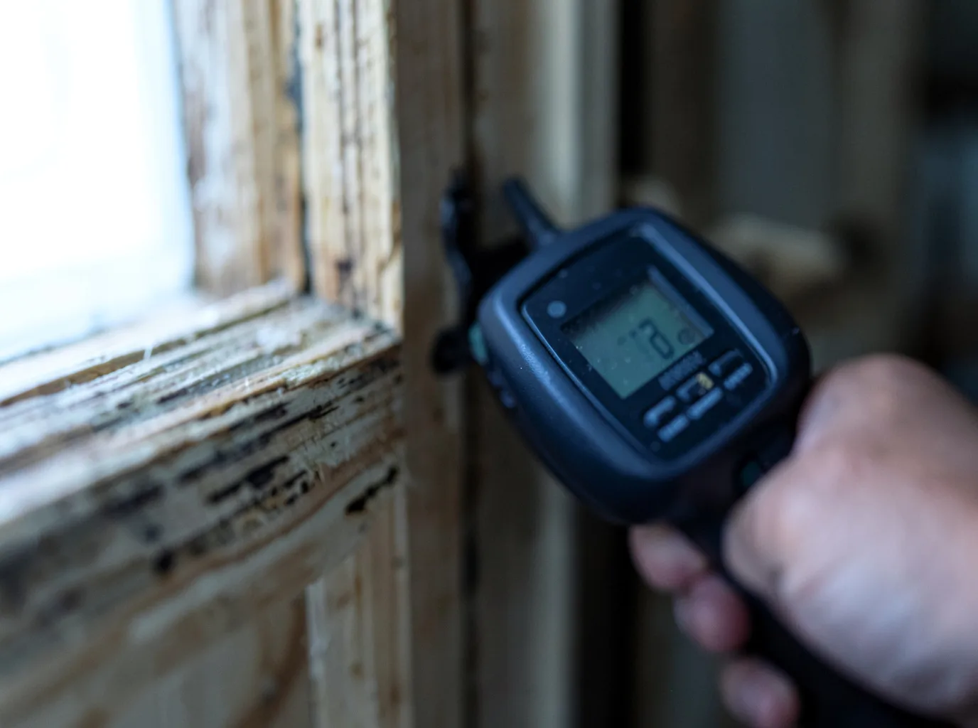 Moisture Inspection And Documentation in Posen, MI